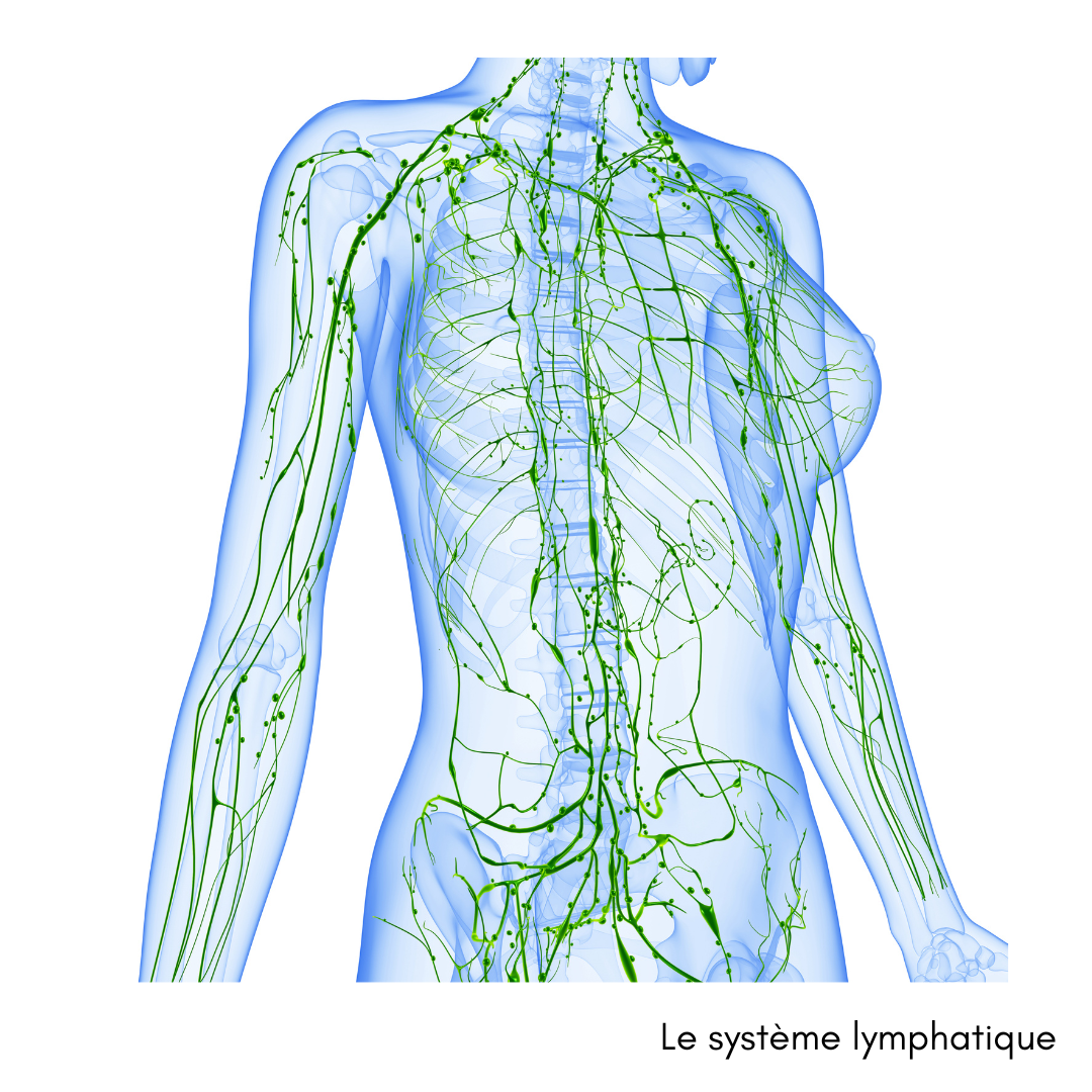 La magie du drainage lymphatique